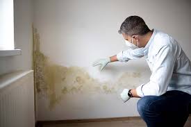 Best Environmental Consulting for Mold Prevention  in Glendale, CA